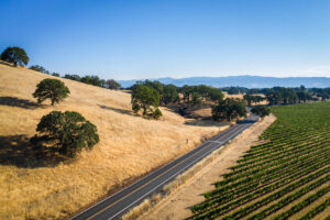 Drone Photograph, Vineyard and Country Road by Owen McGoldrick, omphoto